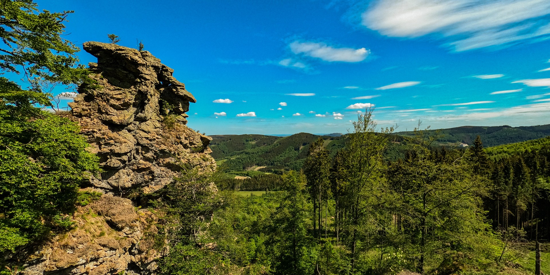 Foto: flipz – stock.adobe.com