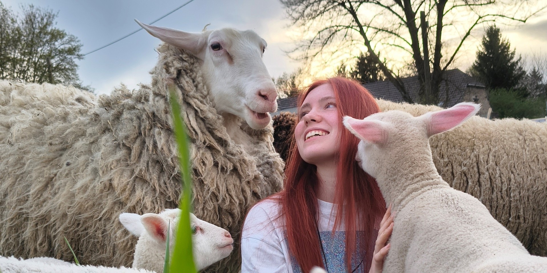 Foto: Josefine Linnemann