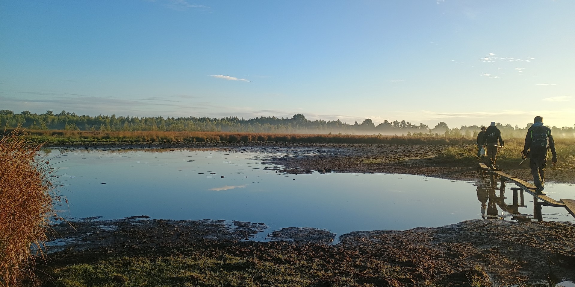 Foto: Finn Roters