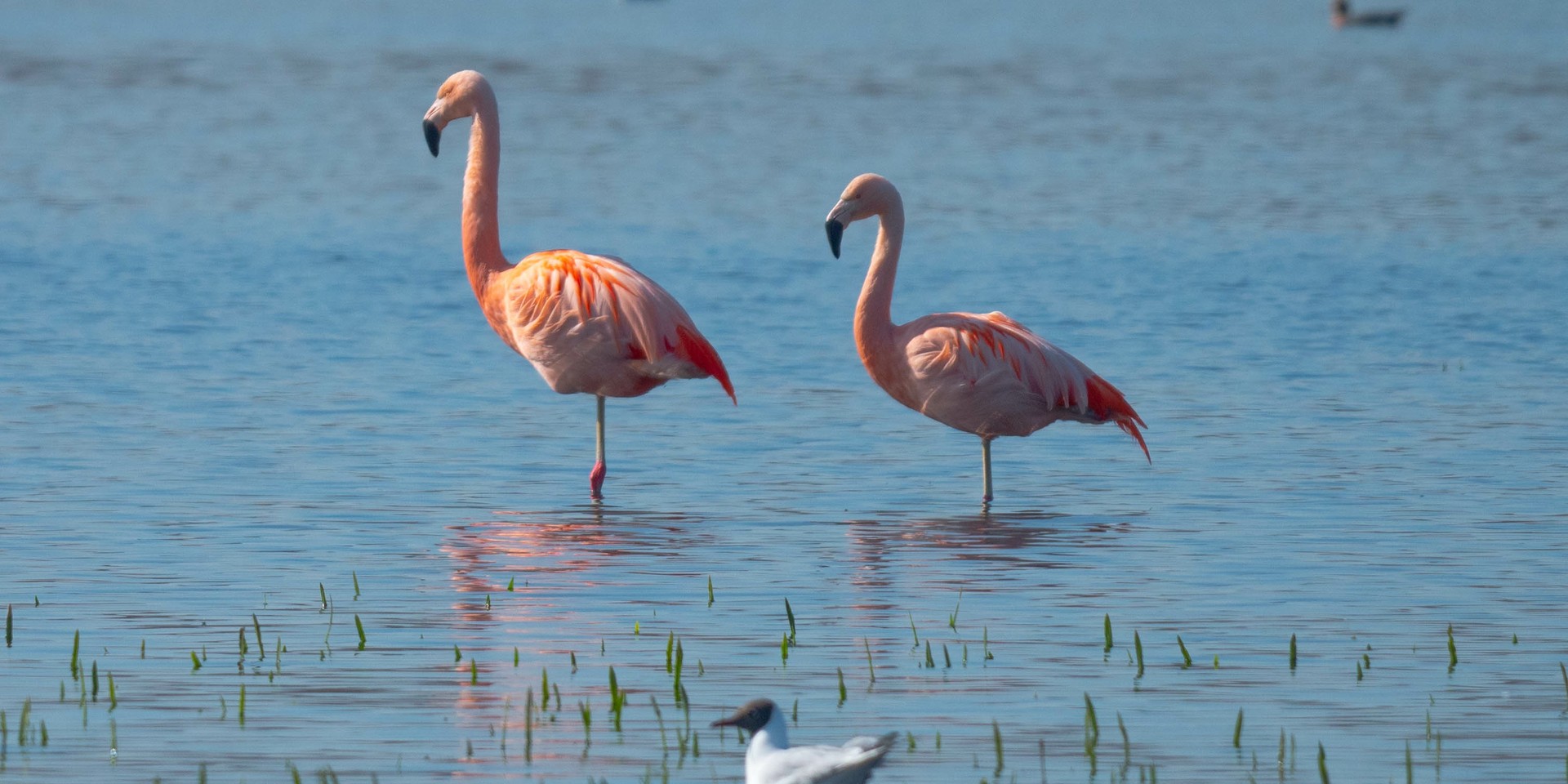 Foto: gerhard – stock.adobe.com